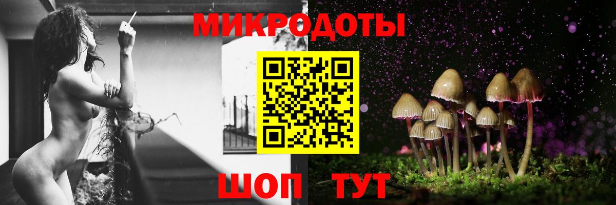 Псилоцибиновые грибы Cubensis Бузулук